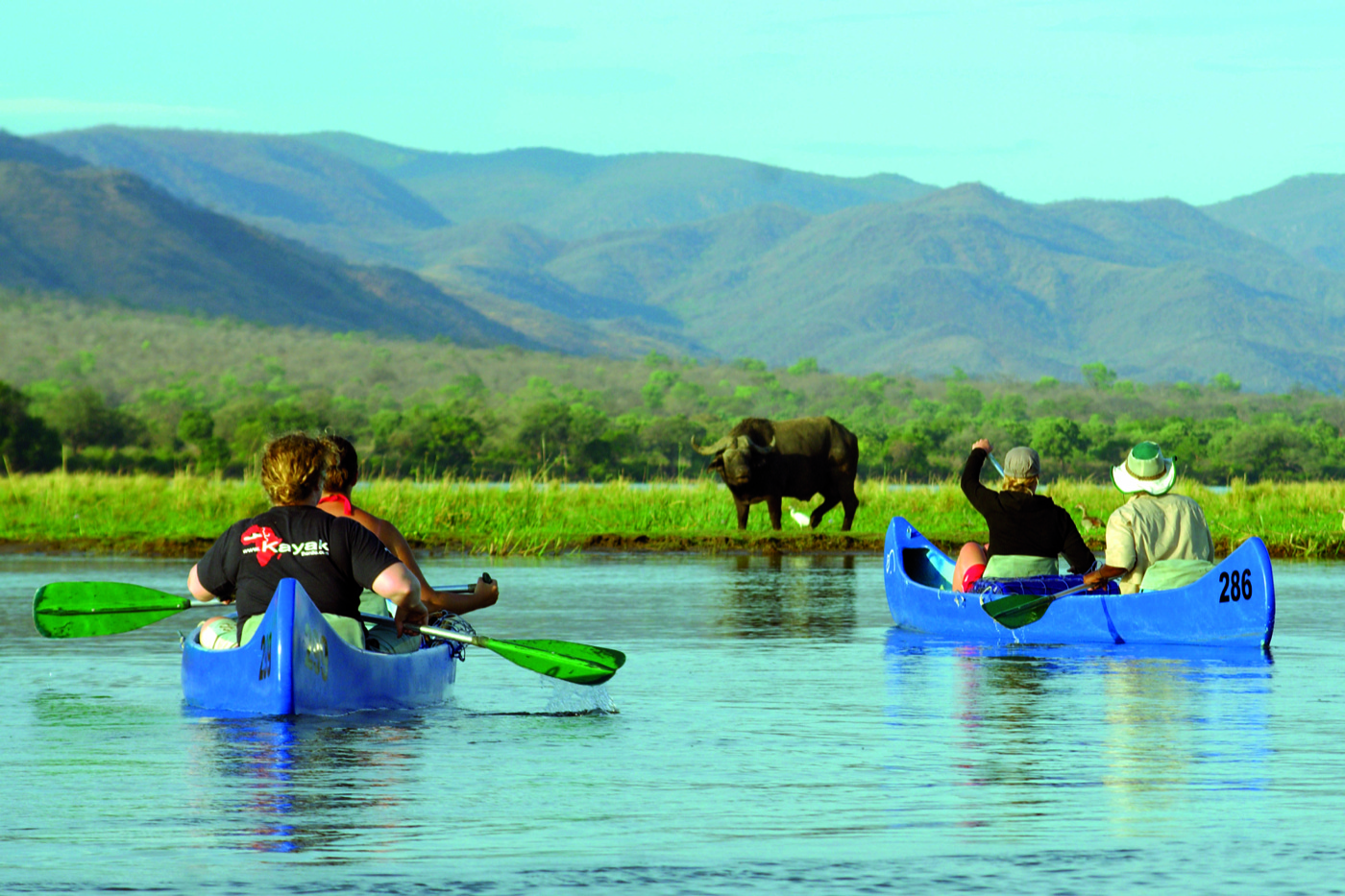Mana Pools National Park Access Roads